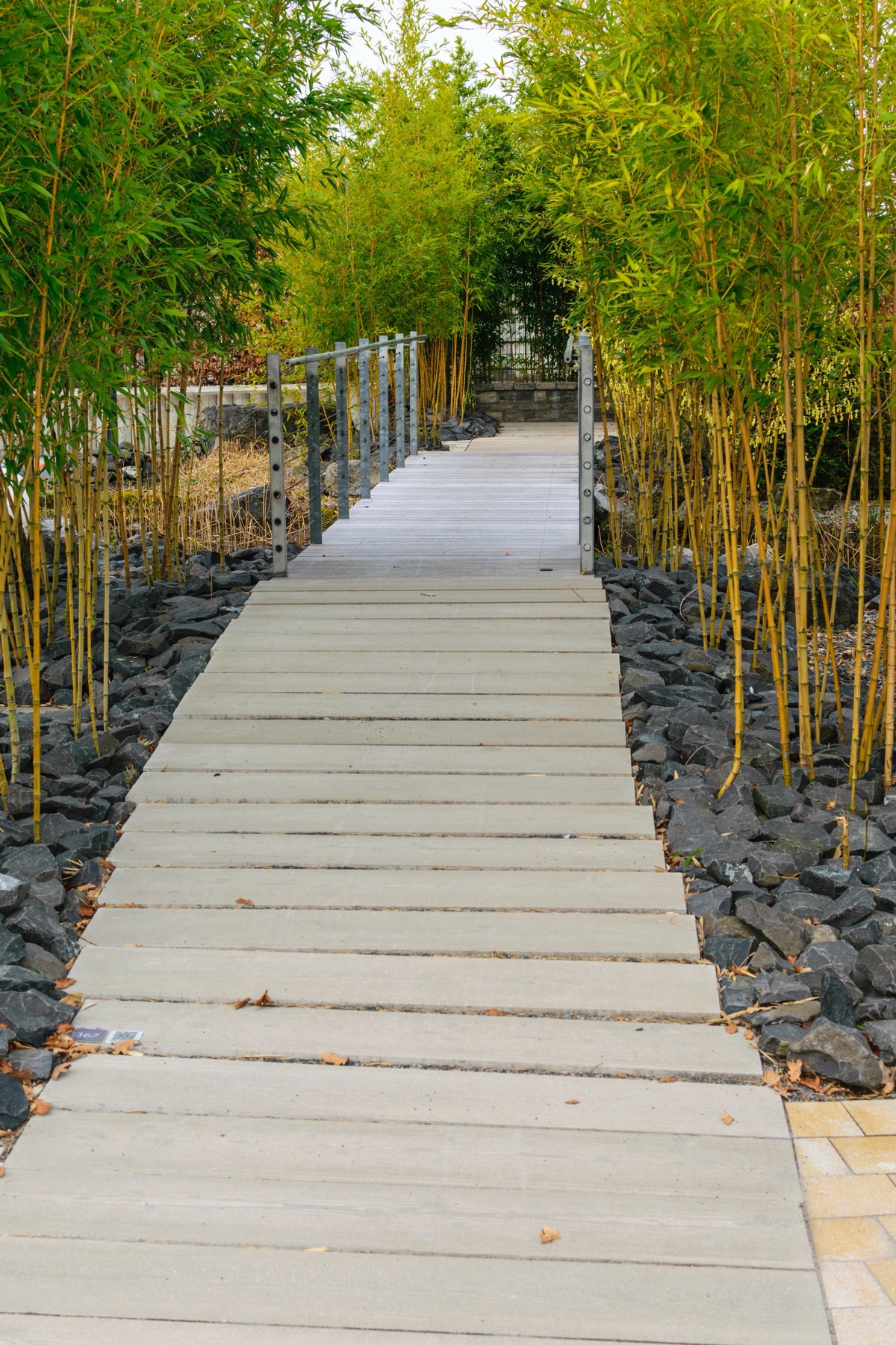 Allée de platelage bois bordée de bambous, réalisée par Léo Hervieu Paysages