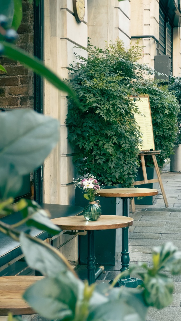 Terrasse végétalisée en ville, plantations en bac le long d'une façade